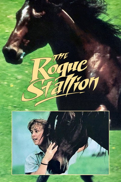 Póster de The Rogue Stallion