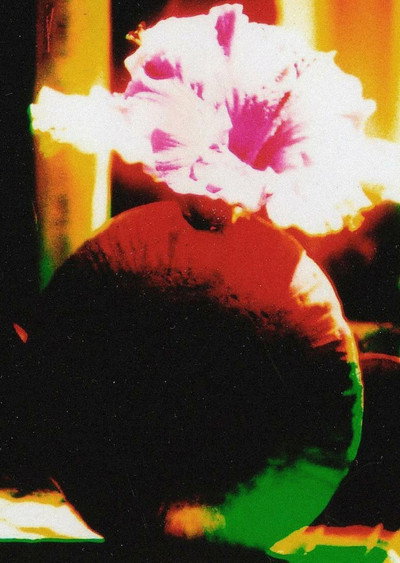 Póster de The Room of Chromatic Mystery