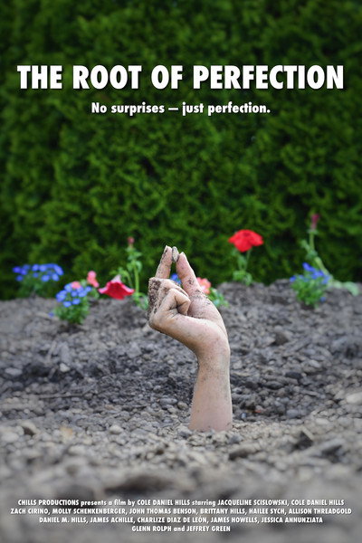 Póster de The Root of Perfection