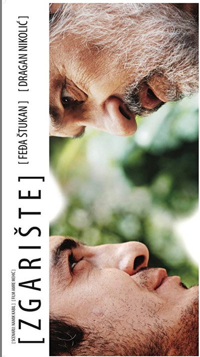 Póster de The Ruin