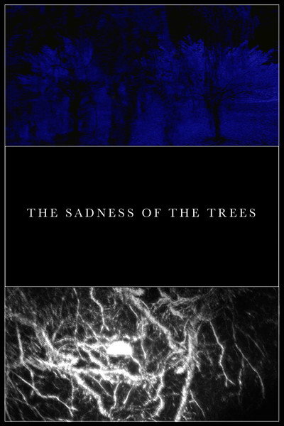 Póster de The Sadness of the Trees