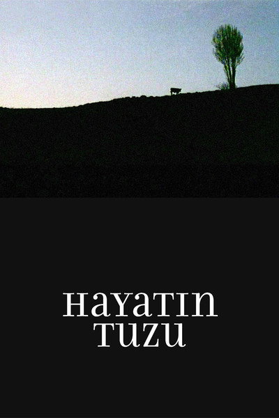 Póster de The Salt of Life