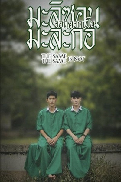 Póster de The Same Is Not the Same