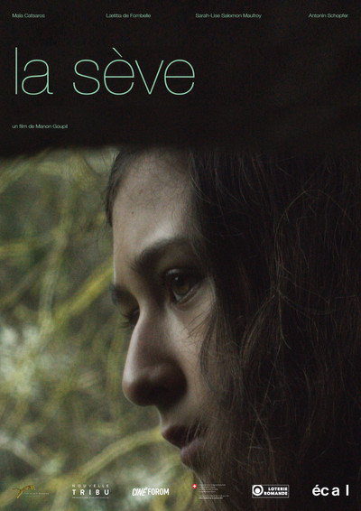 Póster de The Sap