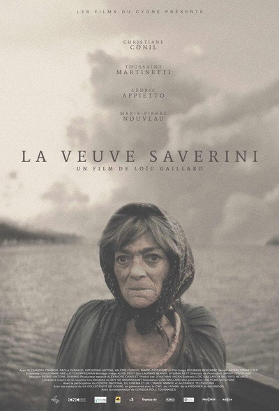 Póster de The Saverini Widow