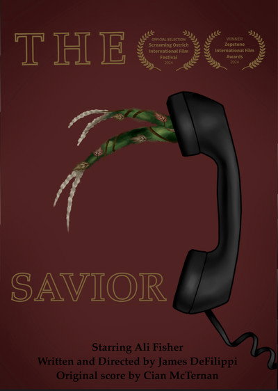 Póster de The Savior