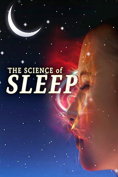 Póster de The Science of Sleep