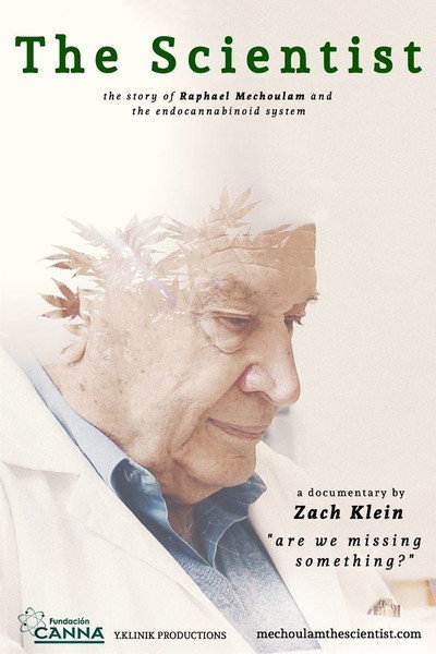 Póster de The Scientist: Are We Missing Something?