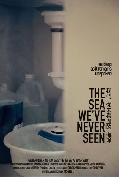 Póster de The Sea We've Never Seen