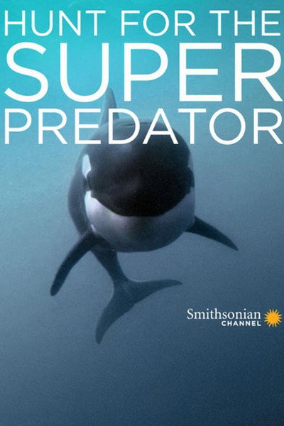 Póster de The Search for the Ocean's Super Predator
