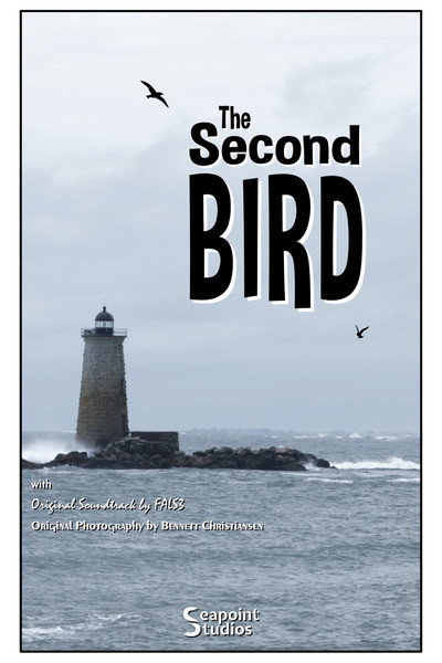 Póster de The Second Bird