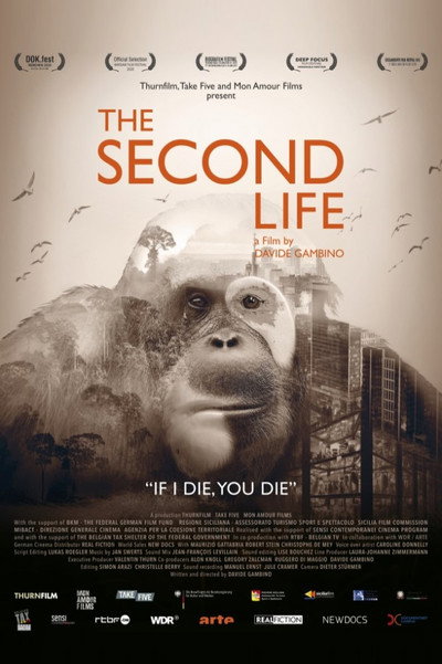 Póster de The Second Life