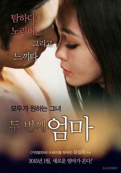 Póster de The Second Mother