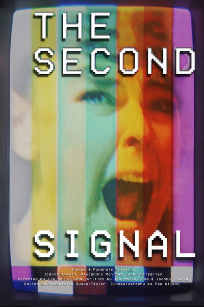 Póster de The Second Signal