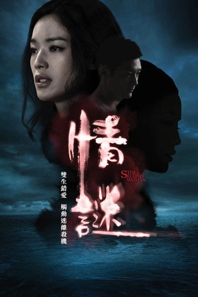 Póster de The Second Woman