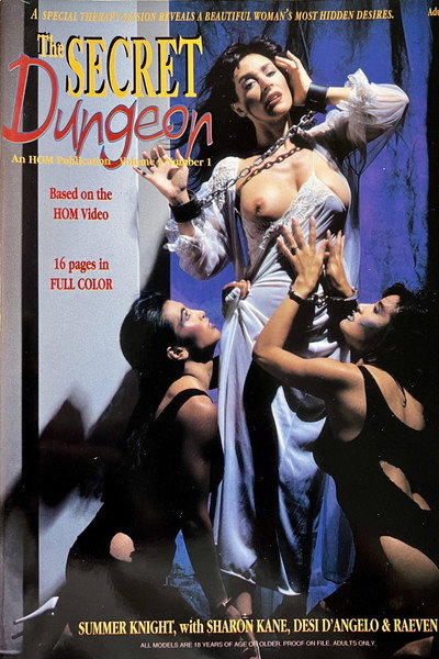 Póster de The Secret Dungeon