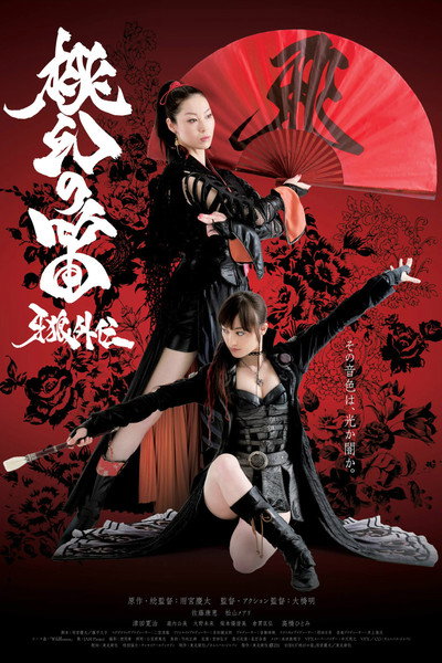 Póster de The Secret Flute: Garo Side-Story