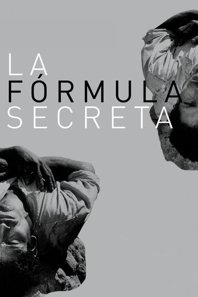 Póster de The Secret Formula
