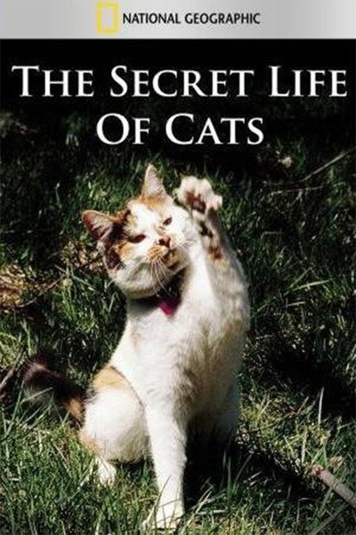 Póster de The Secret Life of Cats