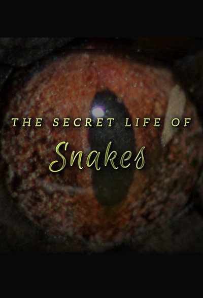 Póster de The Secret Life of Snakes