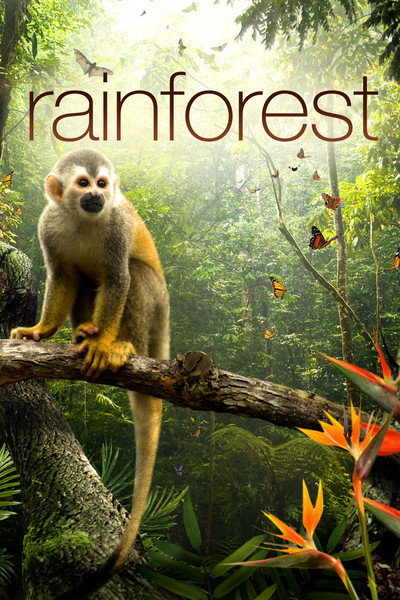 Póster de The Secret Life of the Rainforest