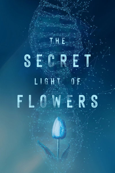 Póster de The Secret Light of Flowers