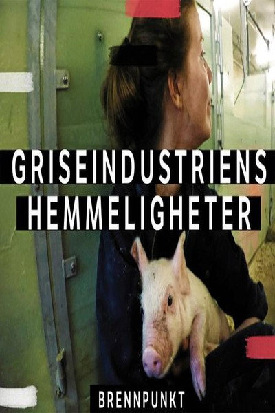 Póster de The Secret Lives of Pigs