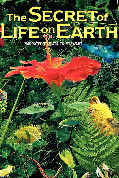 Póster de The Secret of Life on Earth