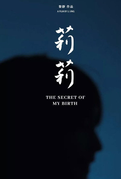 Póster de The Secret of My Birth