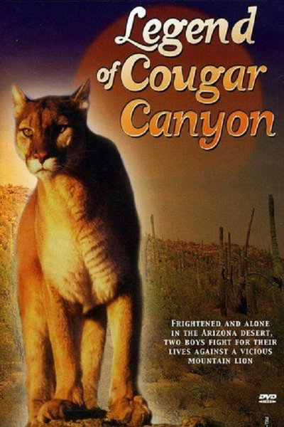 Póster de The Secret of Navajo Cave