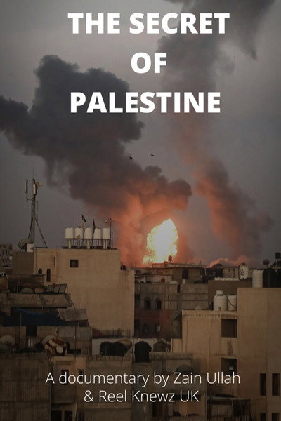 Póster de The Secret of Palestine