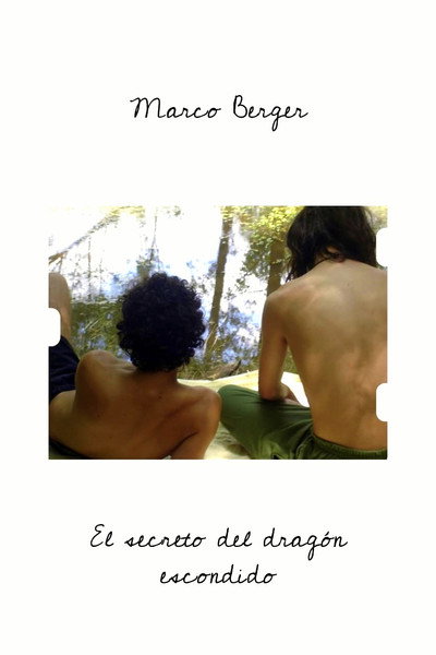 Póster de The Secret of the Hidden Dragon