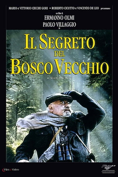 Póster de The Secret of the Old Woods