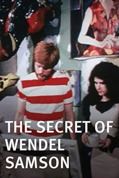 Póster de The Secret of Wendel Samson