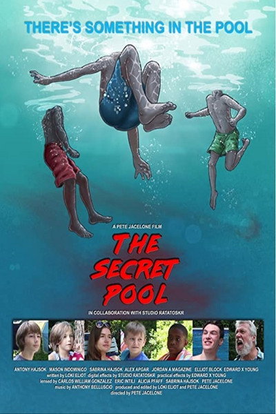 Póster de The Secret Pool