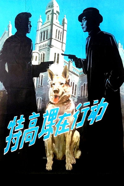 Póster de The Secret Service in Action