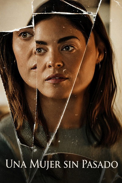 Póster de The Secret Woman
