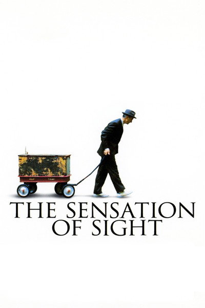 Póster de The Sensation of Sight