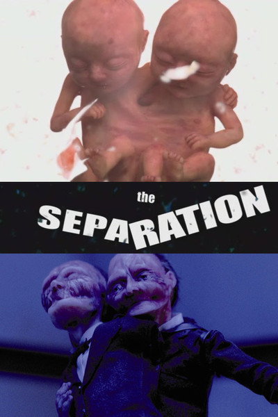 Póster de The Separation