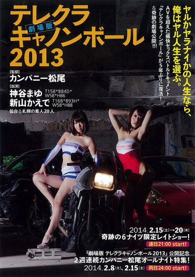 Póster de The Sex Cannon Ball Run