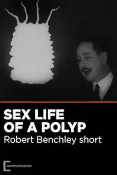 Póster de The Sex Life of the Polyp
