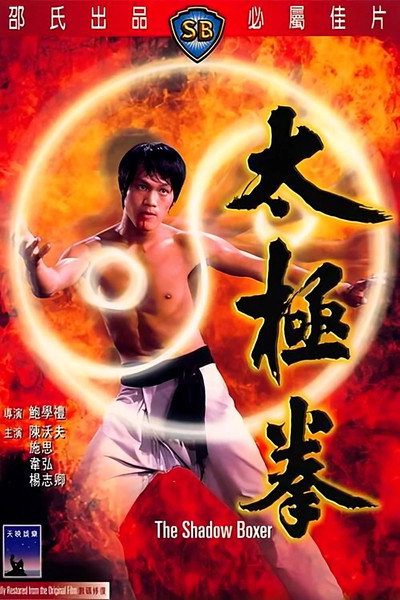 Póster de The Shadow Boxer