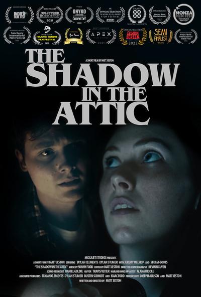 Póster de The Shadow in the Attic