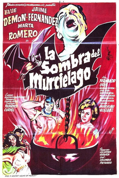 Póster de The Shadow of the Bat