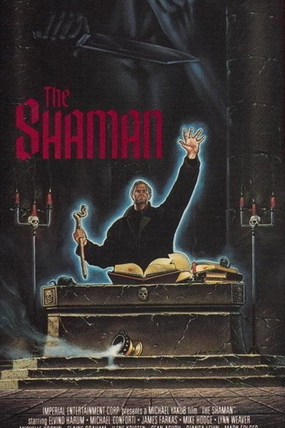 Póster de The shaman