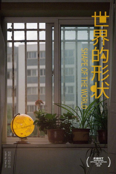 Póster de The shape of the world