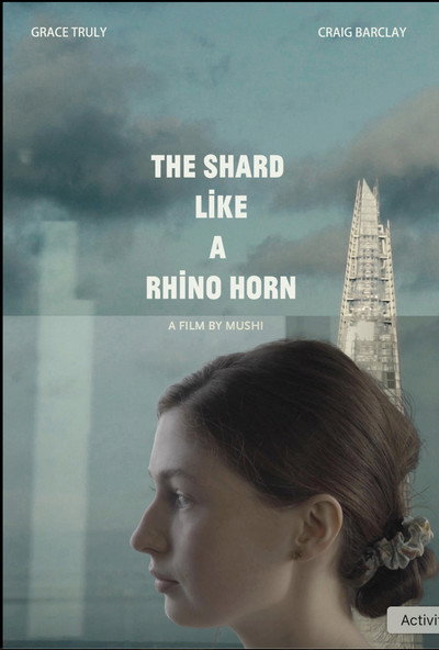 Póster de The Shard Like a Rhino Horn