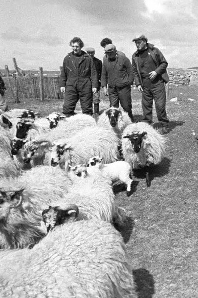 Póster de The Shepherds of Berneray