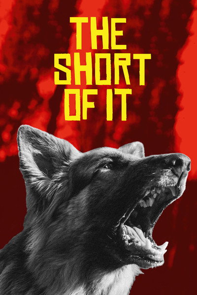 Póster de The Short of It