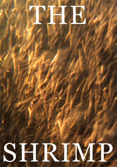 Póster de The Shrimp